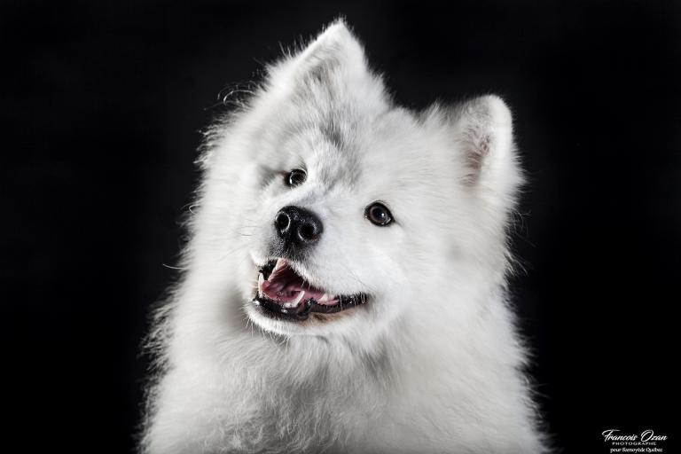 Taiga 11 months