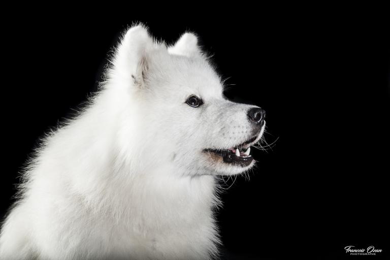 Taiga 11 months