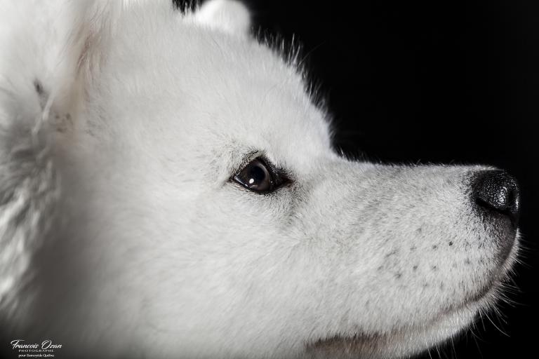 Taiga 11 months