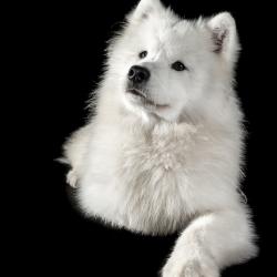 Taiga 11 mois