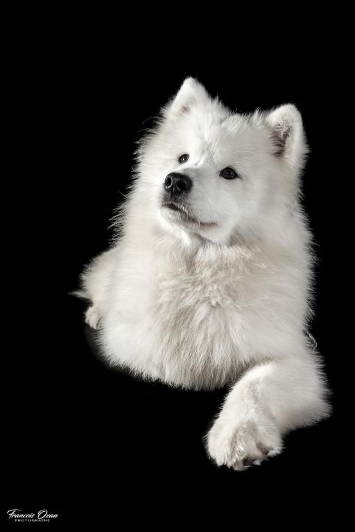 Taiga 11 months