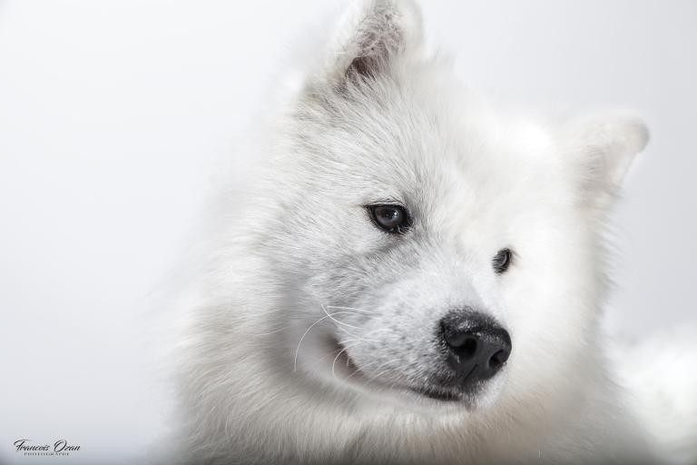 Taiga 11 months