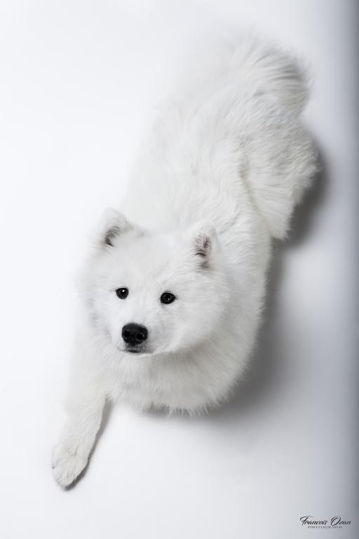 Taiga 11 months