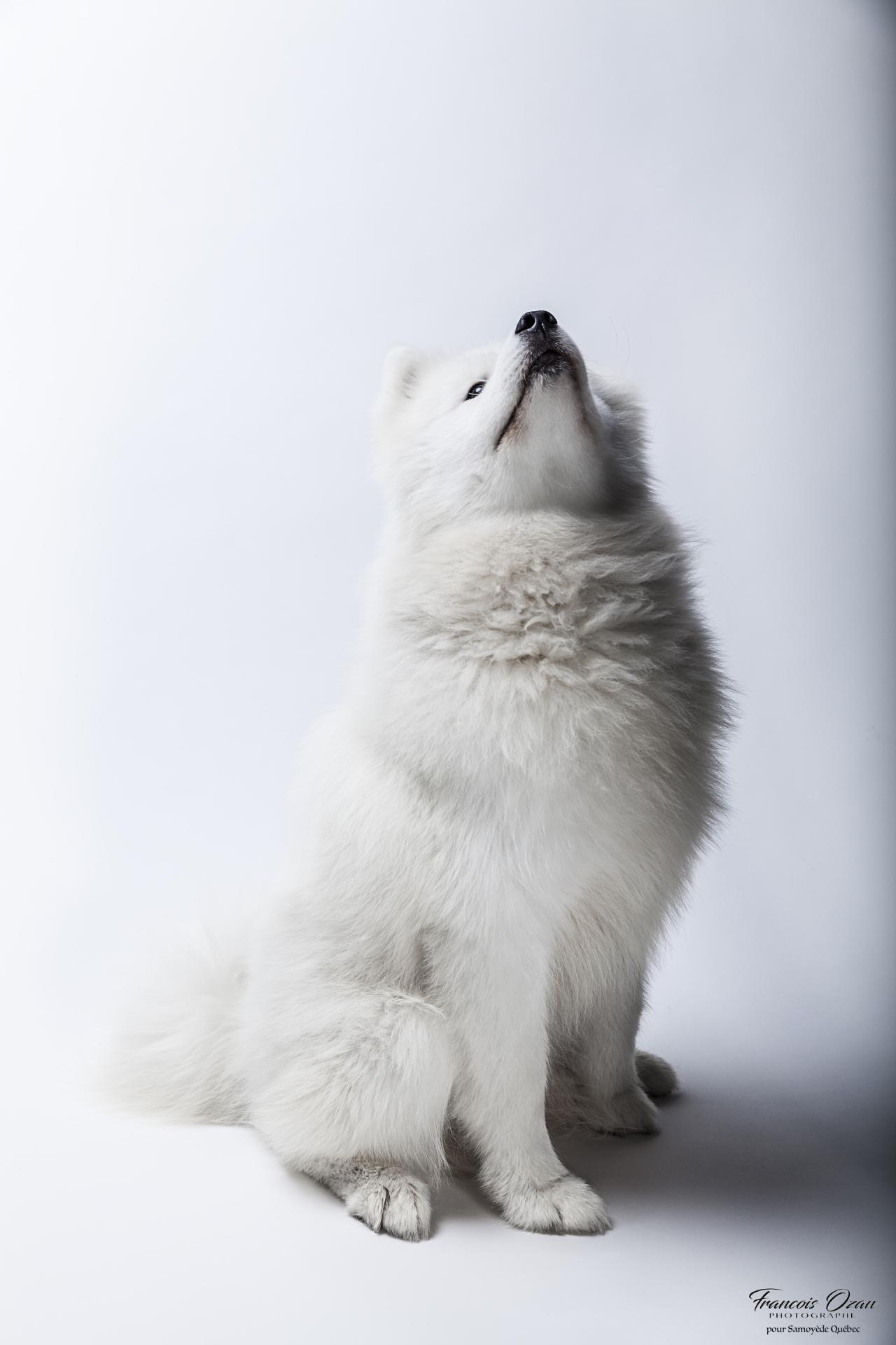Taiga 11 mois