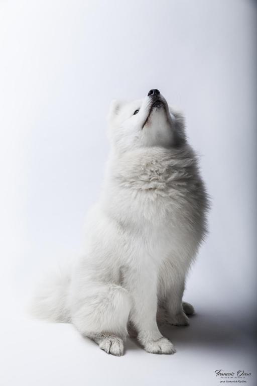 Taiga 11 months