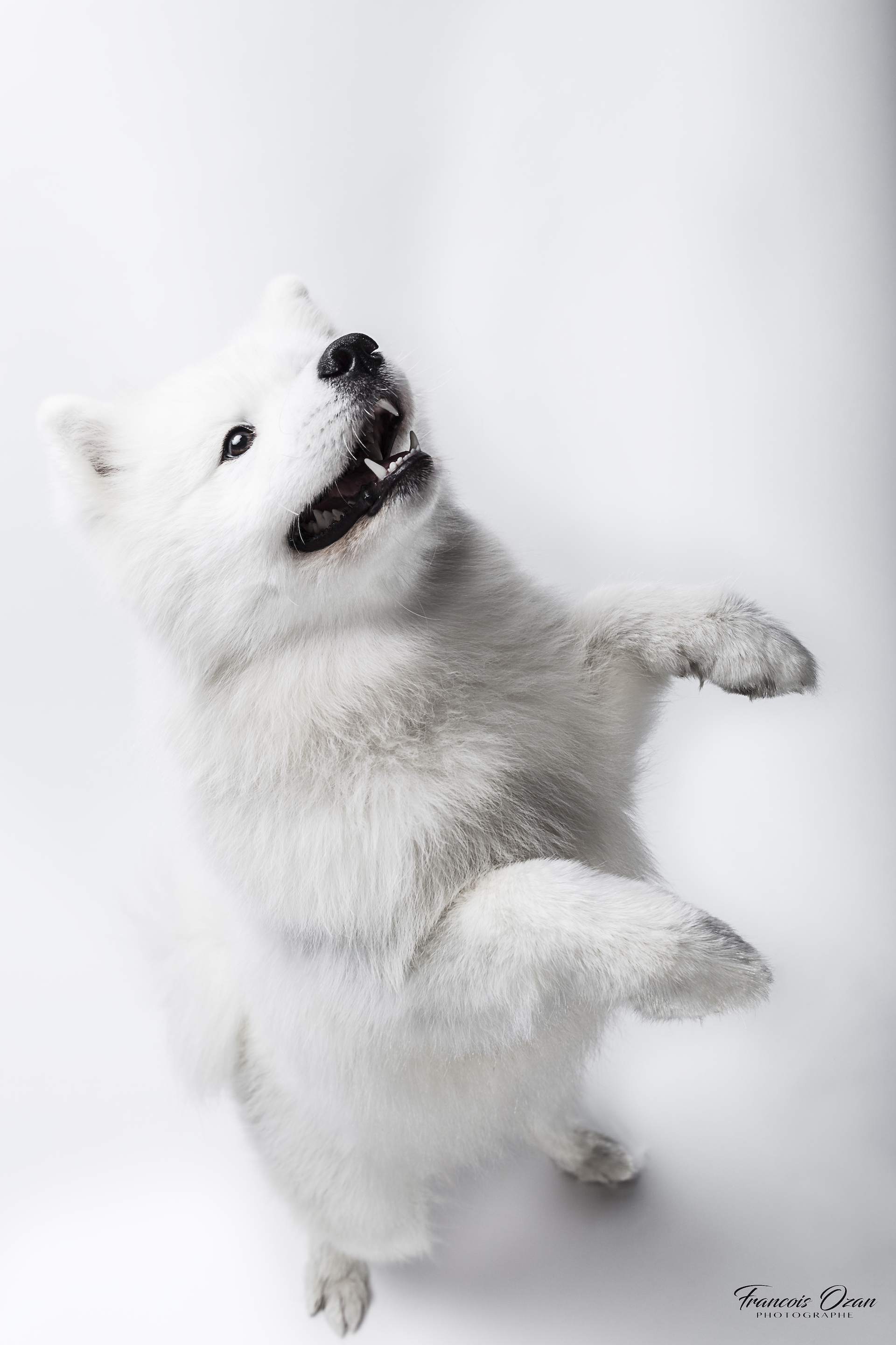 Taiga 11 mois