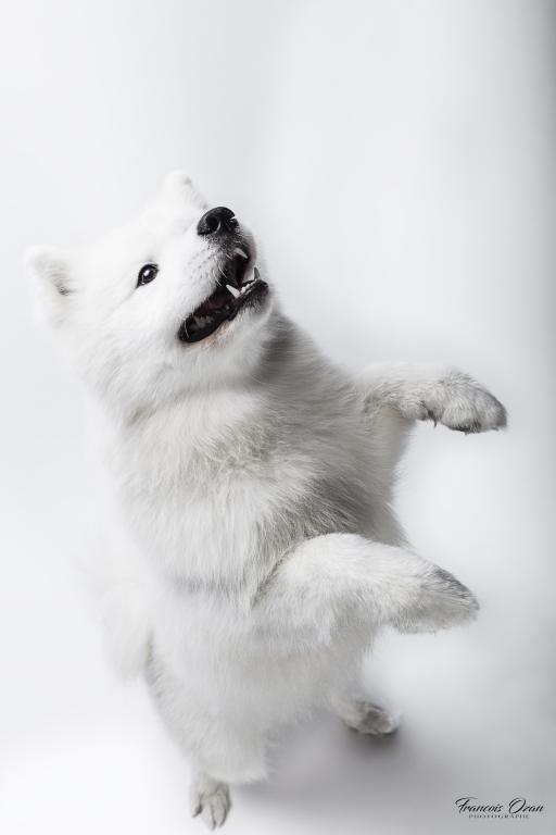 Taiga 11 months