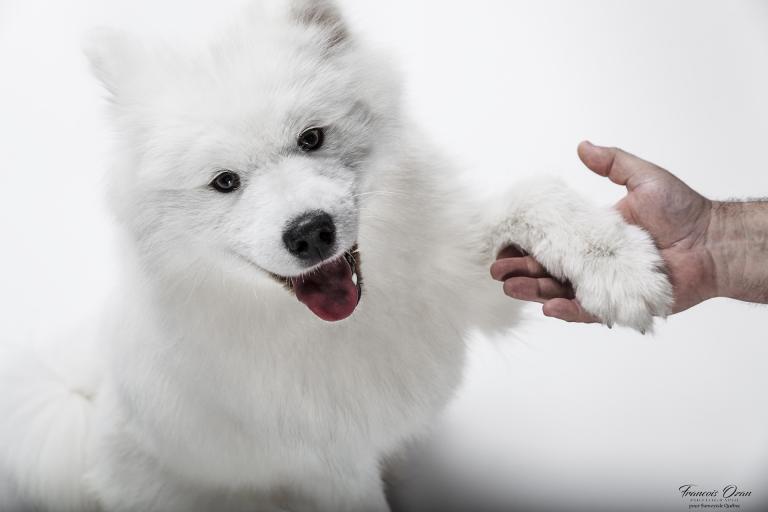Taiga 11 months