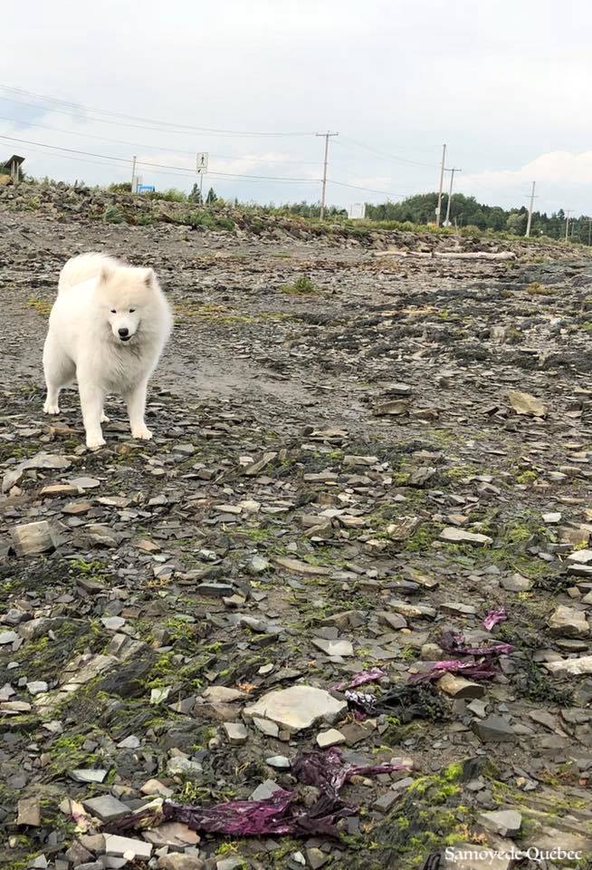 Nushka 10 months