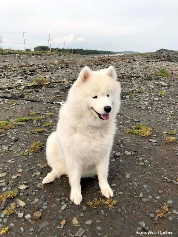 Nushka 10 months