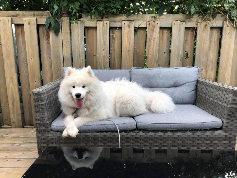 Nushka 10 months