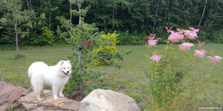 Taiga 10 months