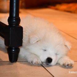 ça donne le goût de dormir avec lui!