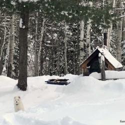 Luna au chalet de sa famille