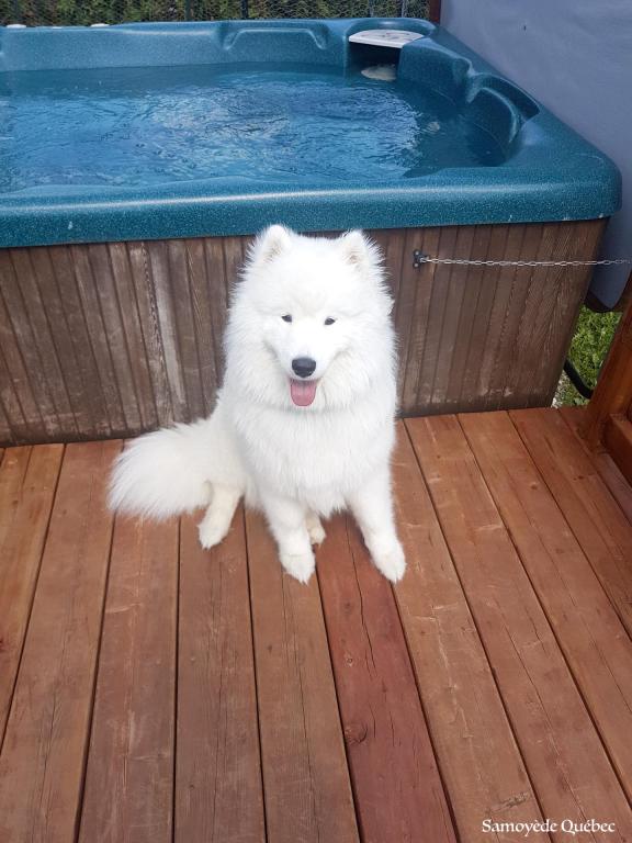 Naya 10 months