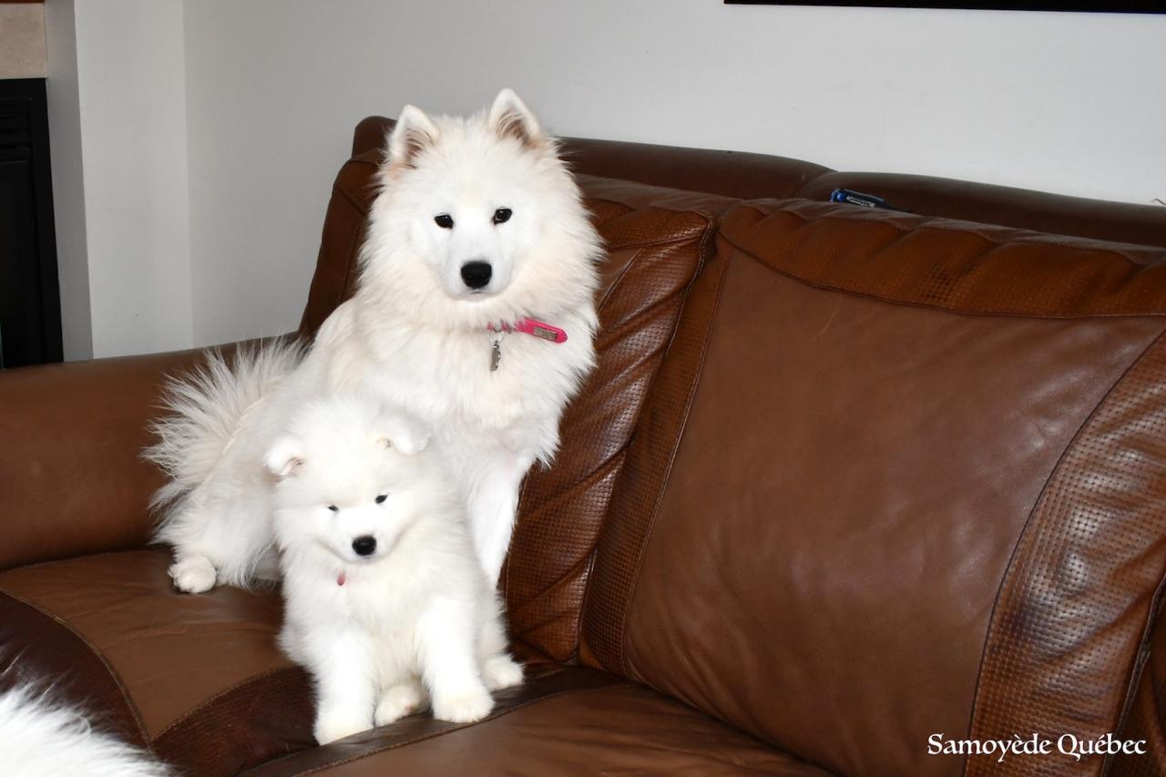 Nushka avec papa et maman