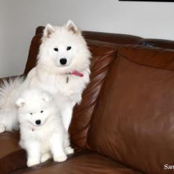 Nushka avec papa et maman