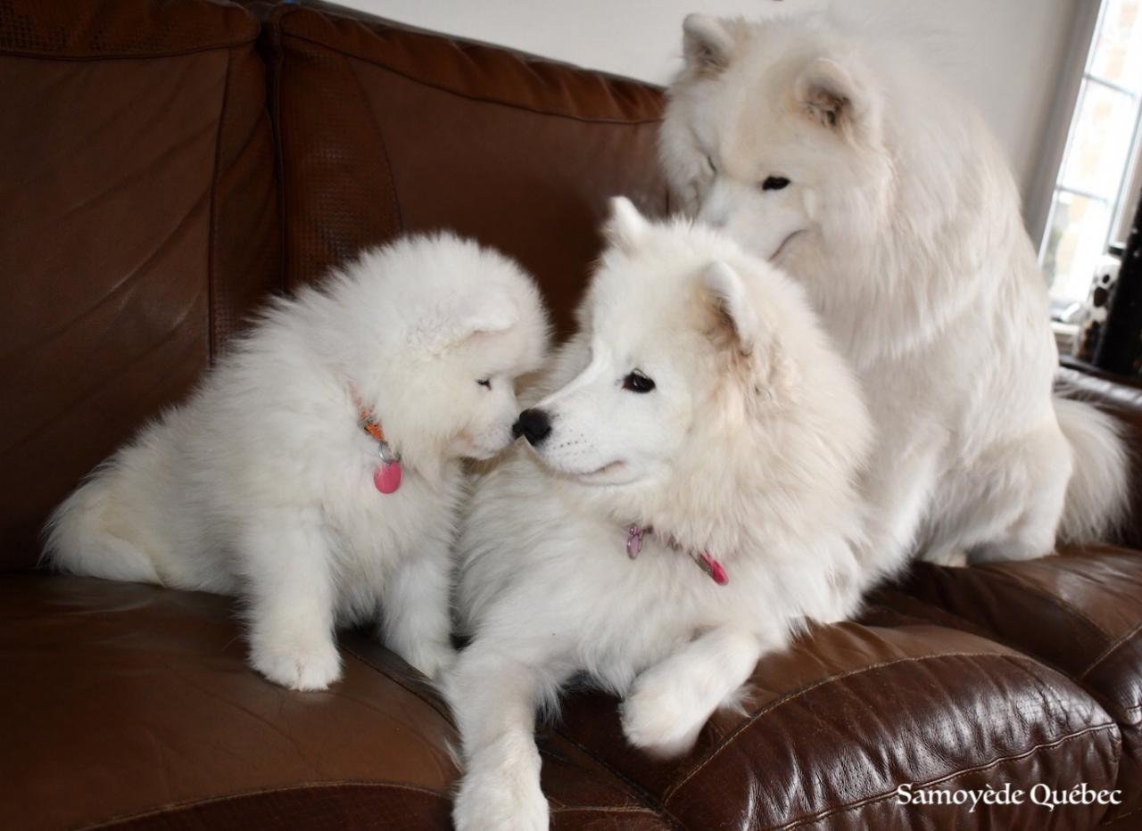 Nushka avec papa et maman