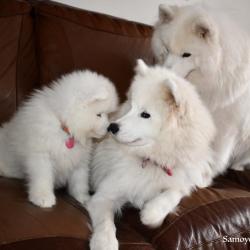 Nushka avec papa et maman