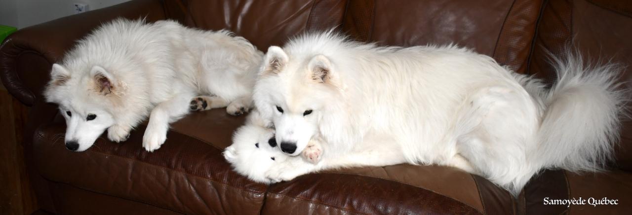 Nushka avec papa et maman