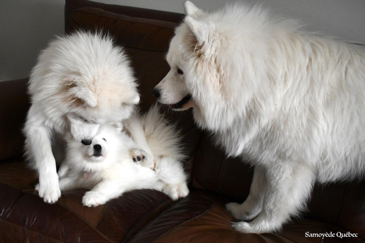 Nushka avec papa et maman