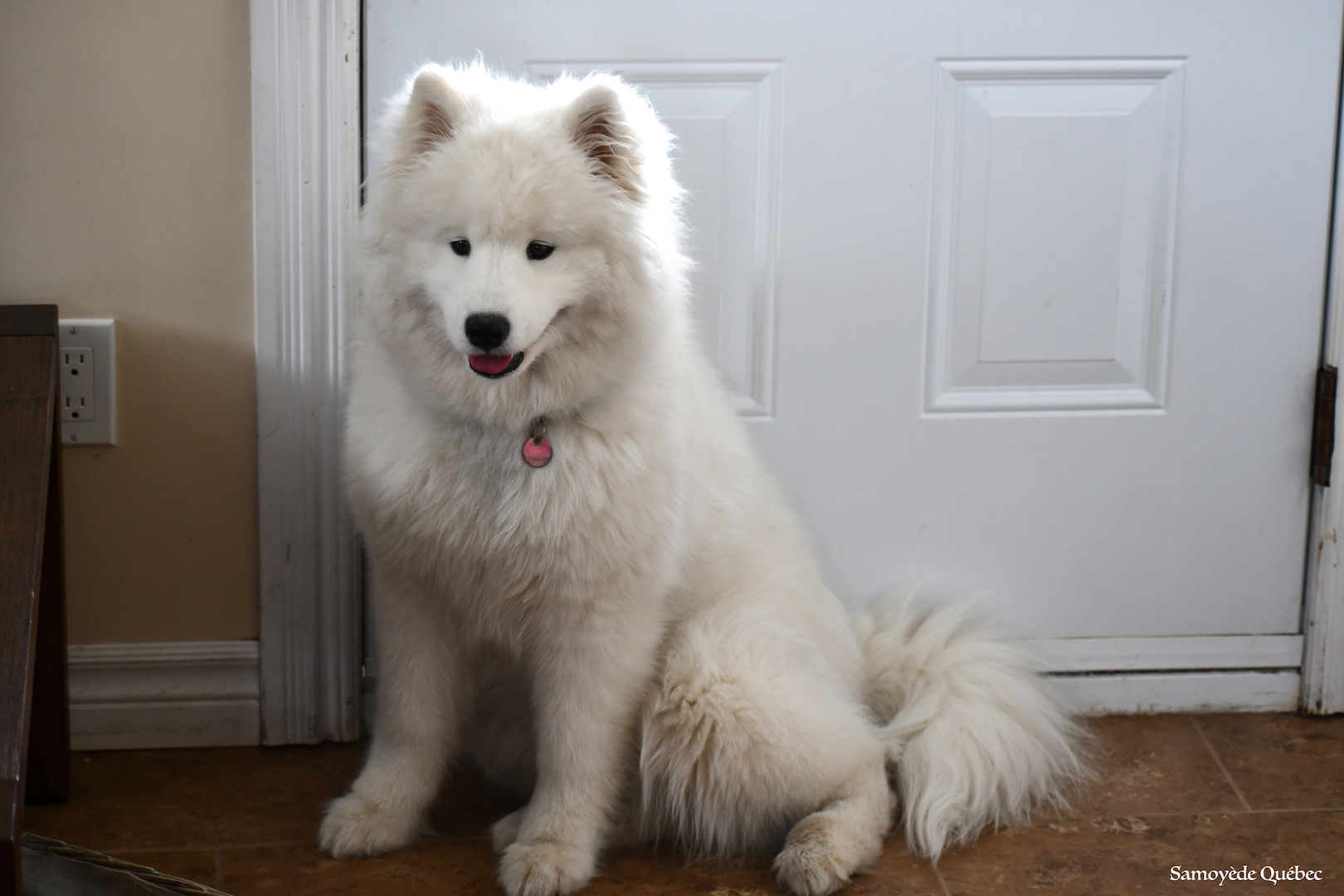 Nushka 6 months