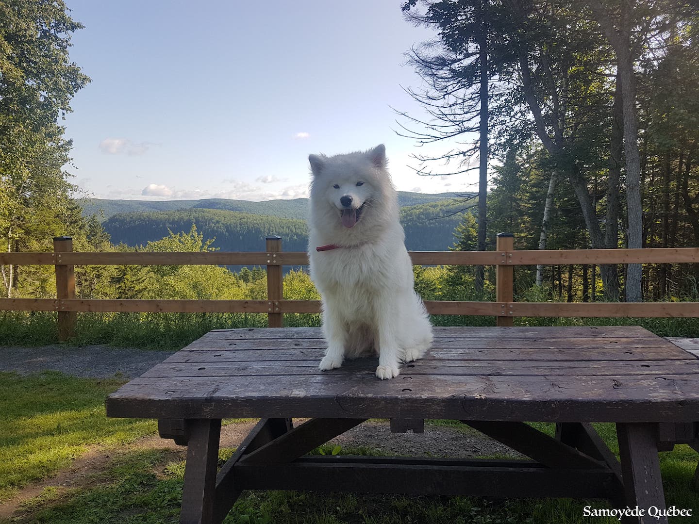 Suka en vacances