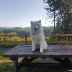 Suka en vacances