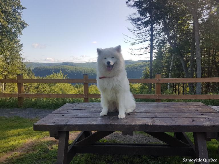 Suka on vacations