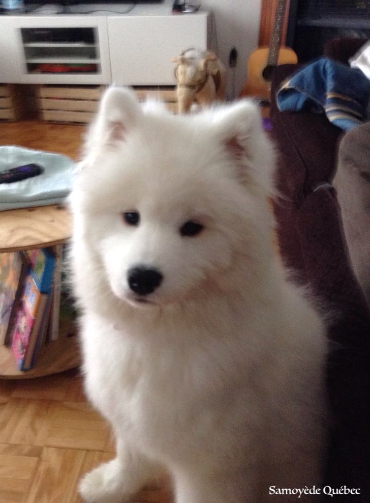 Suka 5 months