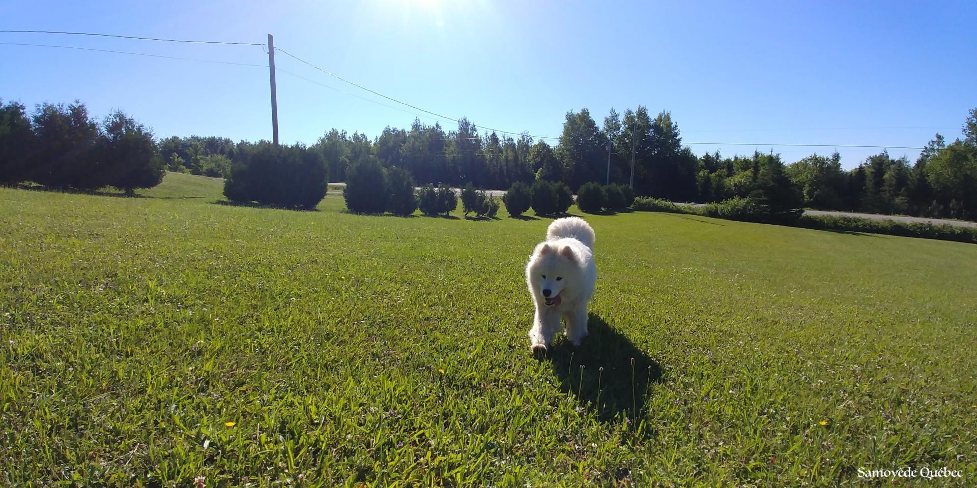 Taiga 9 months