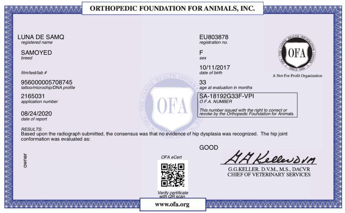Certification OFA - Hanche - LUNA
