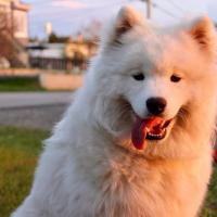 Luna 8 mois