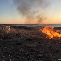 Luna près de son feu!