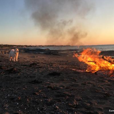 Luna près de son feu!