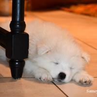 ça donne le goût de dormir avec lui!