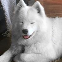 Luna 13 mois