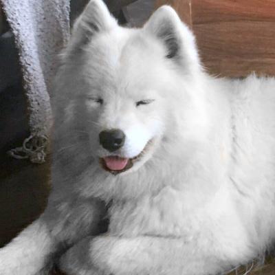 Luna 13 mois