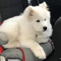 Luna 4 mois