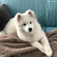 Luna 5 mois 