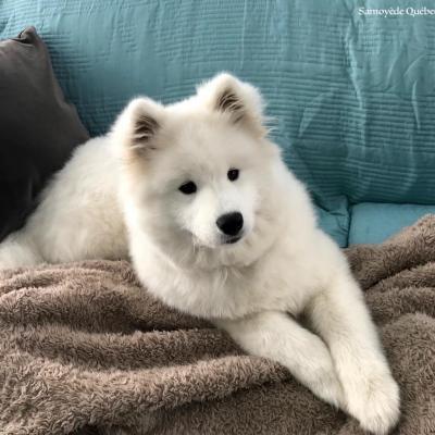 Luna 5 mois 