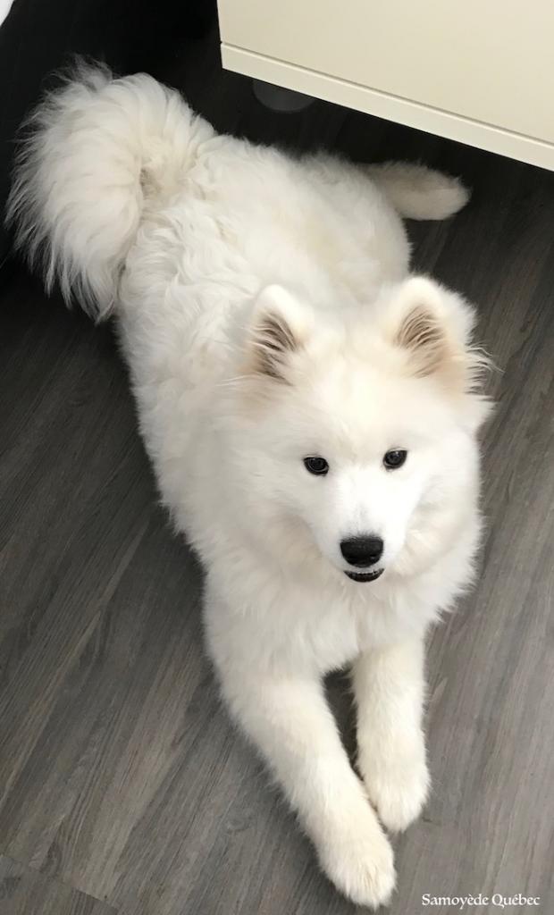 Luna 5 months