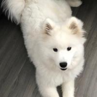 Luna 5 mois