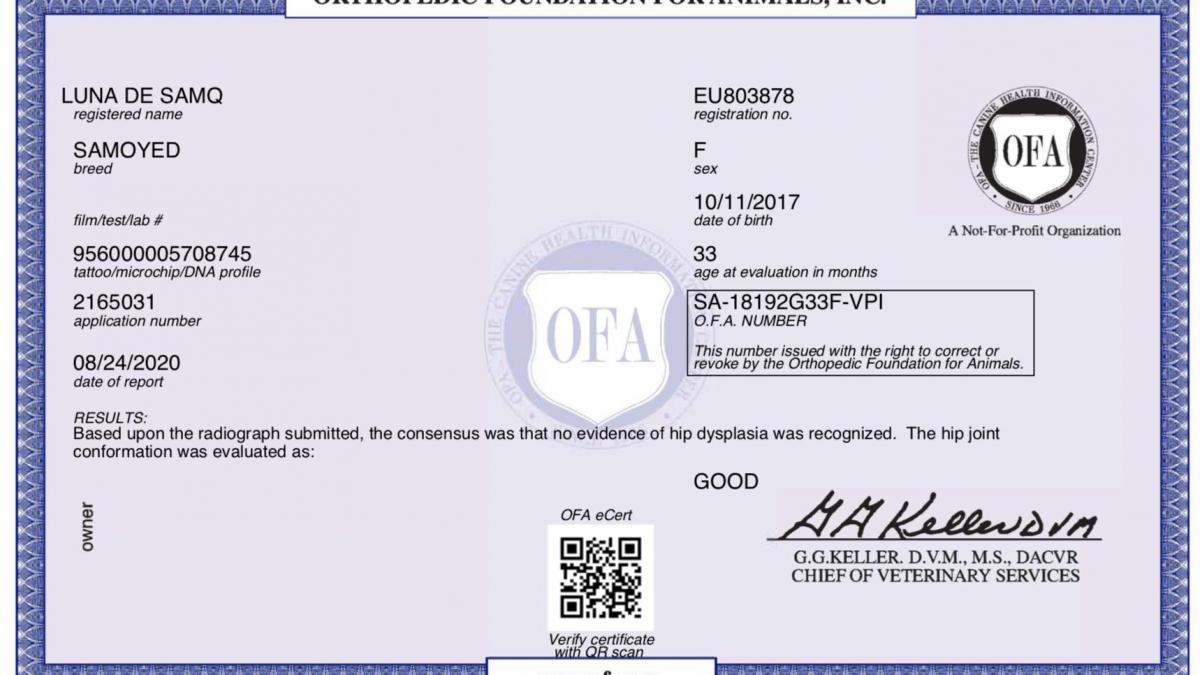 Certification OFA - Hanche - LUNA
